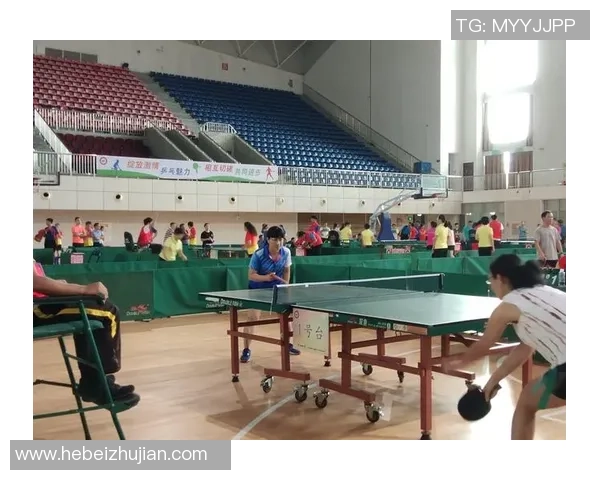 乒乓球专题：聚焦广州乒乓球队的配合